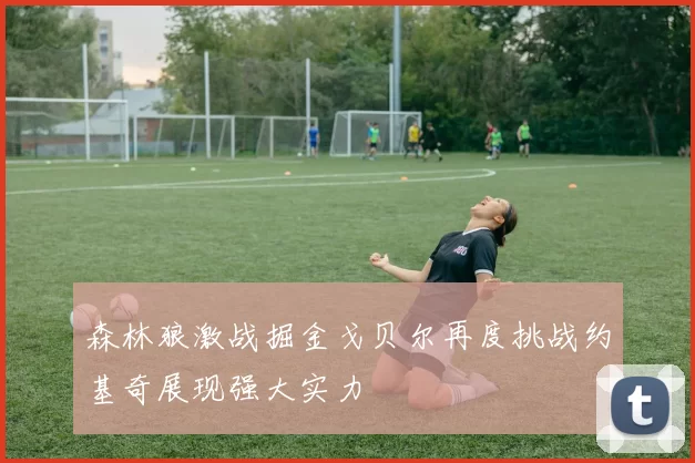 森林狼激战掘金戈贝尔再度挑战约基奇展现强大实力