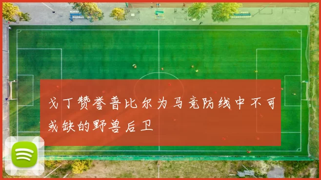 戈丁赞誉普比尔为马竞防线中不可或缺的野兽后卫